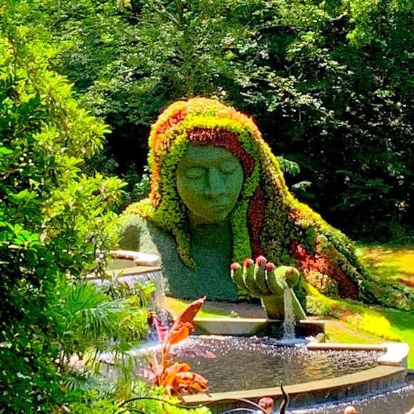 Meet your Posher, Chiquita - Picture 1 of 16